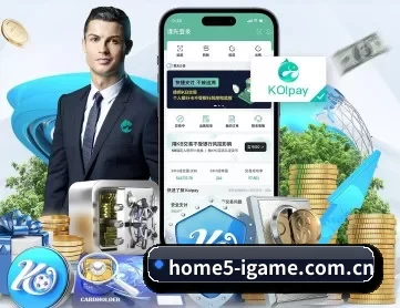 爱游戏体育电脑版 APP 深度功能