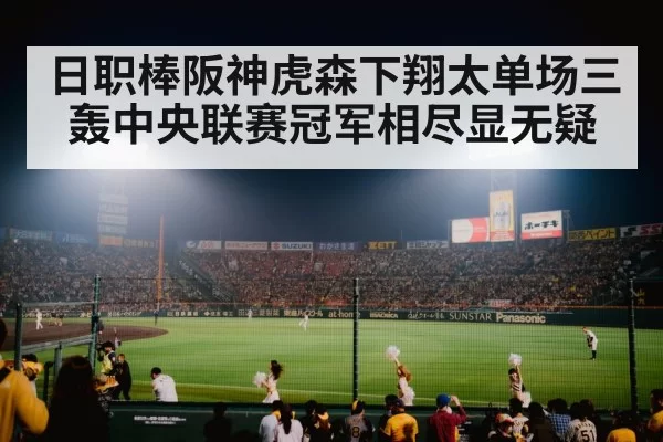 baseball stadium lights