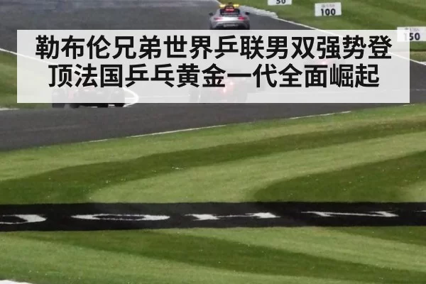 勒布伦兄弟世界乒联男双强势登顶法国乒乓黄金一代全面崛起